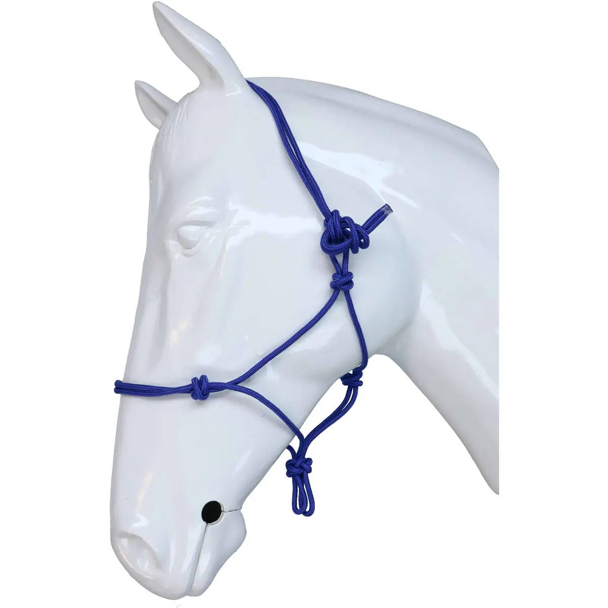 Riding World Halster Fine Ethologisch Koningsblauw 1