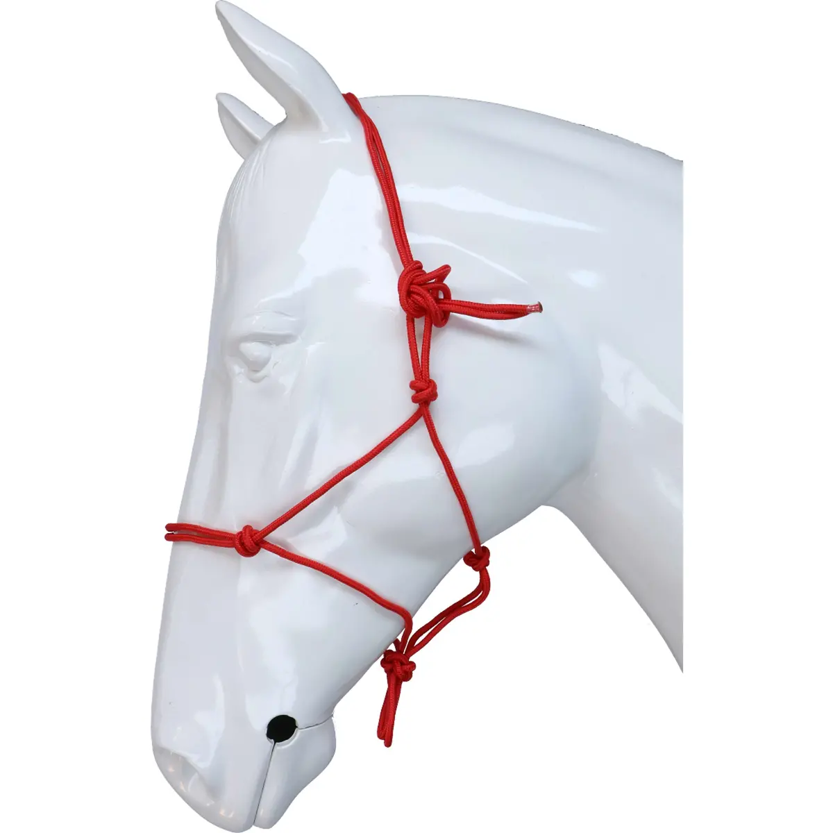Riding World Halster Fine Ethologisch Rood 1