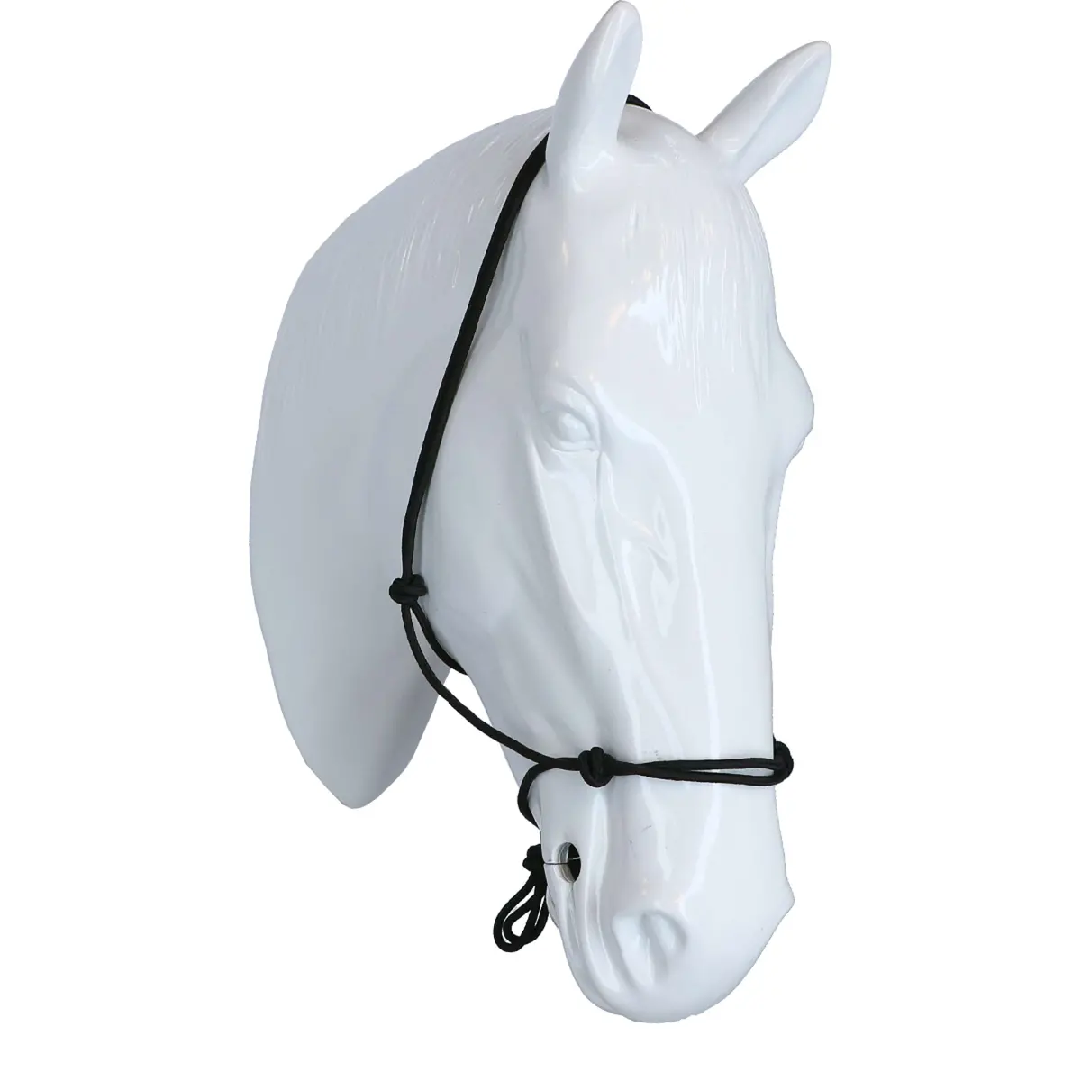 Riding World Halster Fine Ethologisch Zwart 1