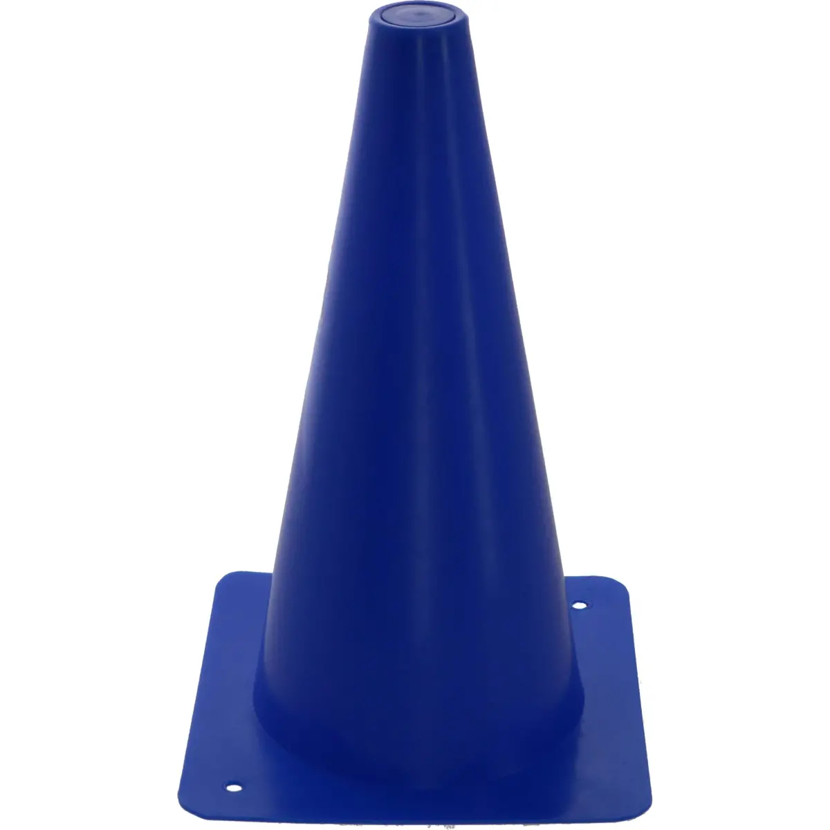 Hippotonic Oefenkegel Blauw 1