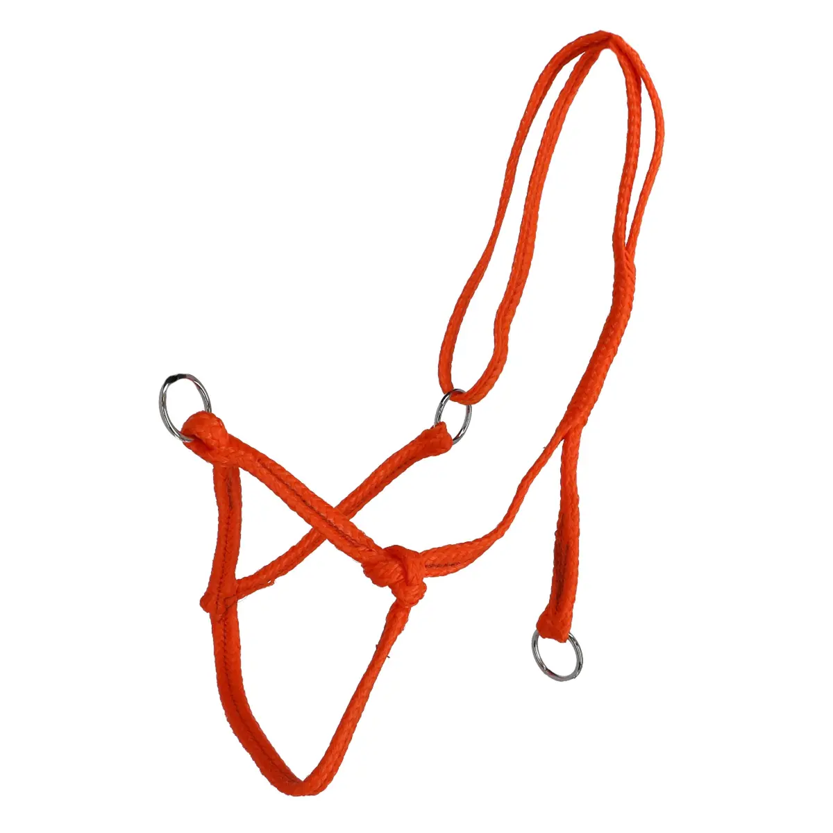 Agradi Halster Koe Oranje 1