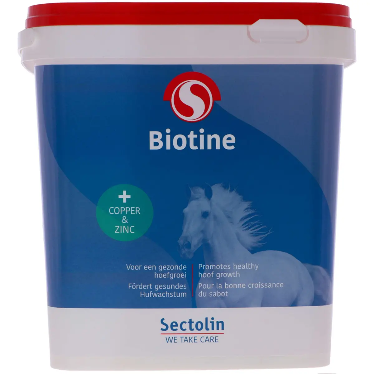 Sectolin Biotine 1