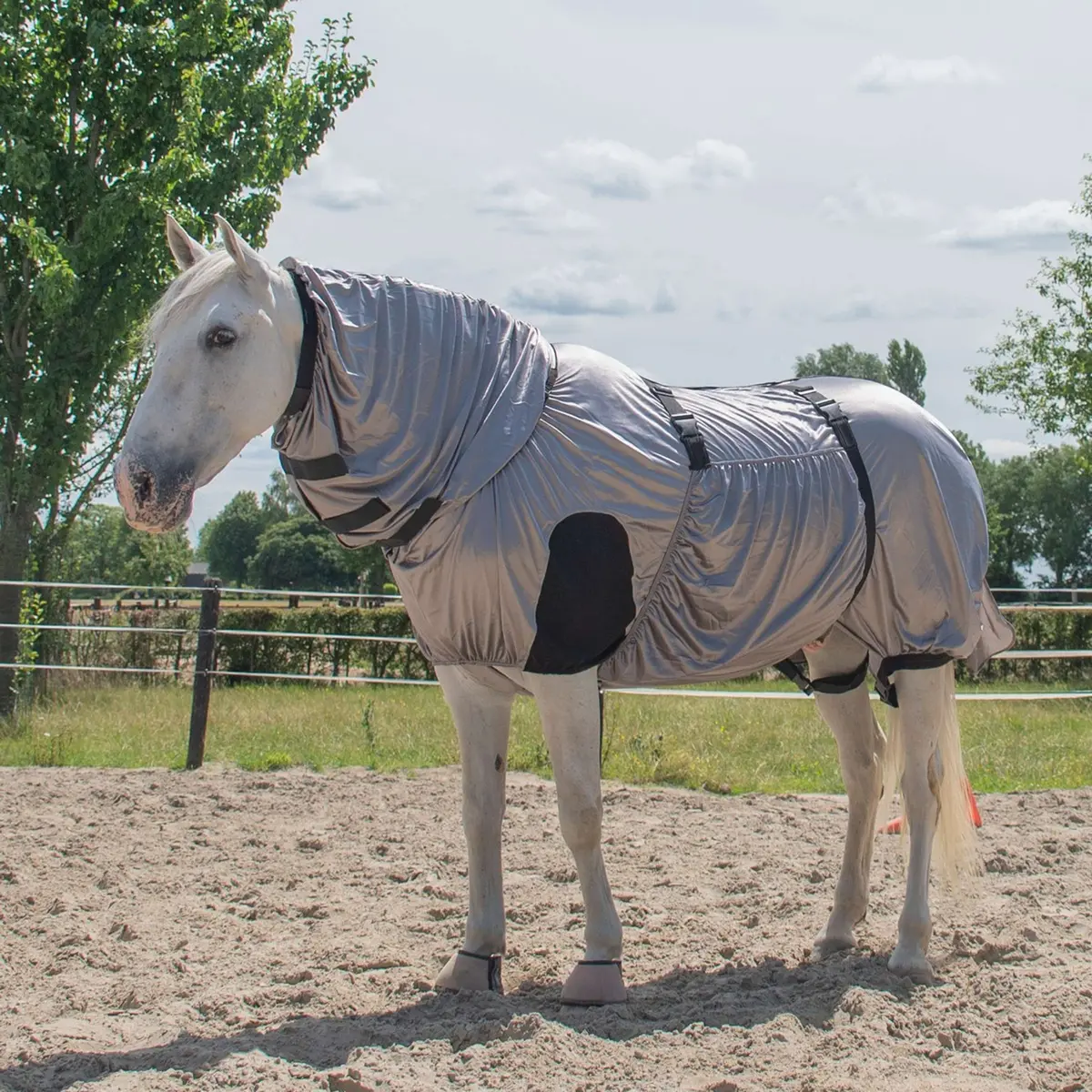 Harry's Horse Eczeem/Vliegendeken Uv 1