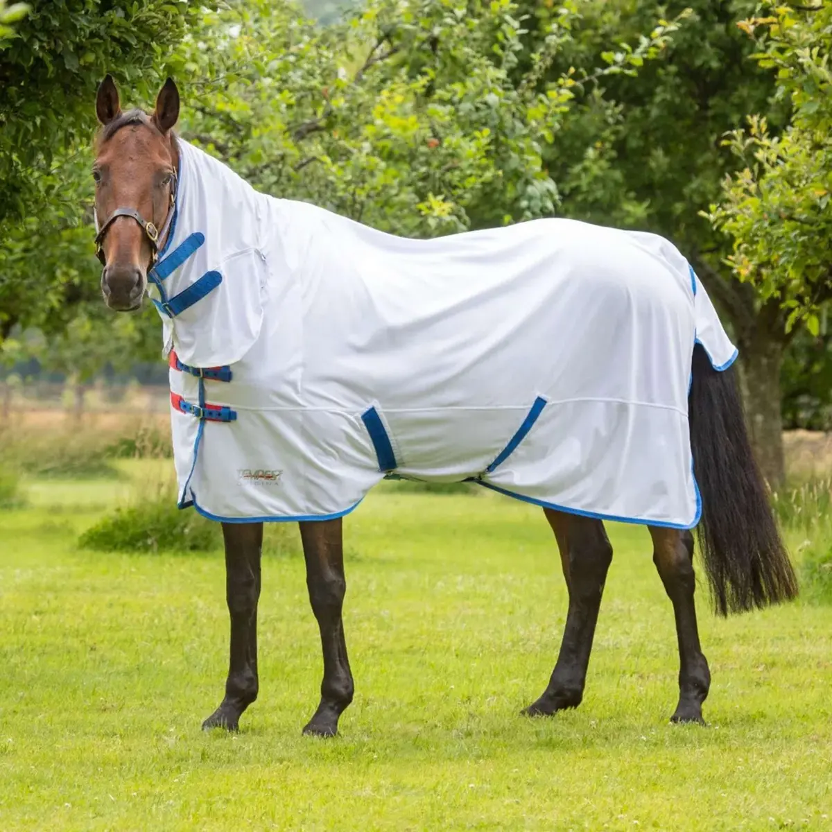Tempest Original By Shires Vliegendeken Fly Combo Wit 1