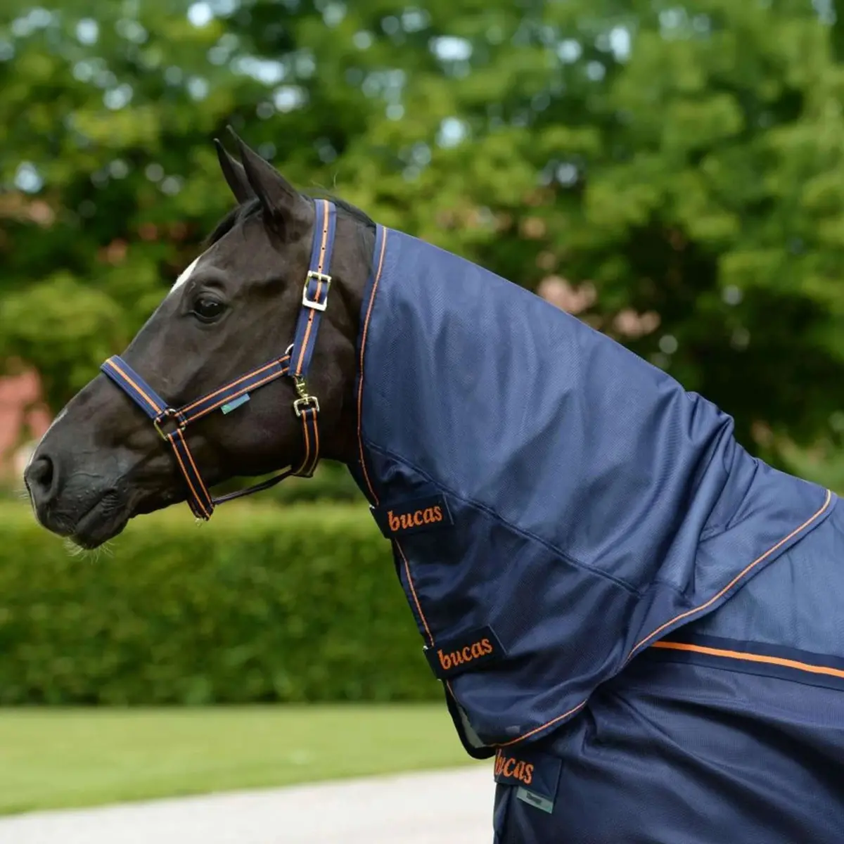 Bucas Therapy Light Neck Navy/Orange 1