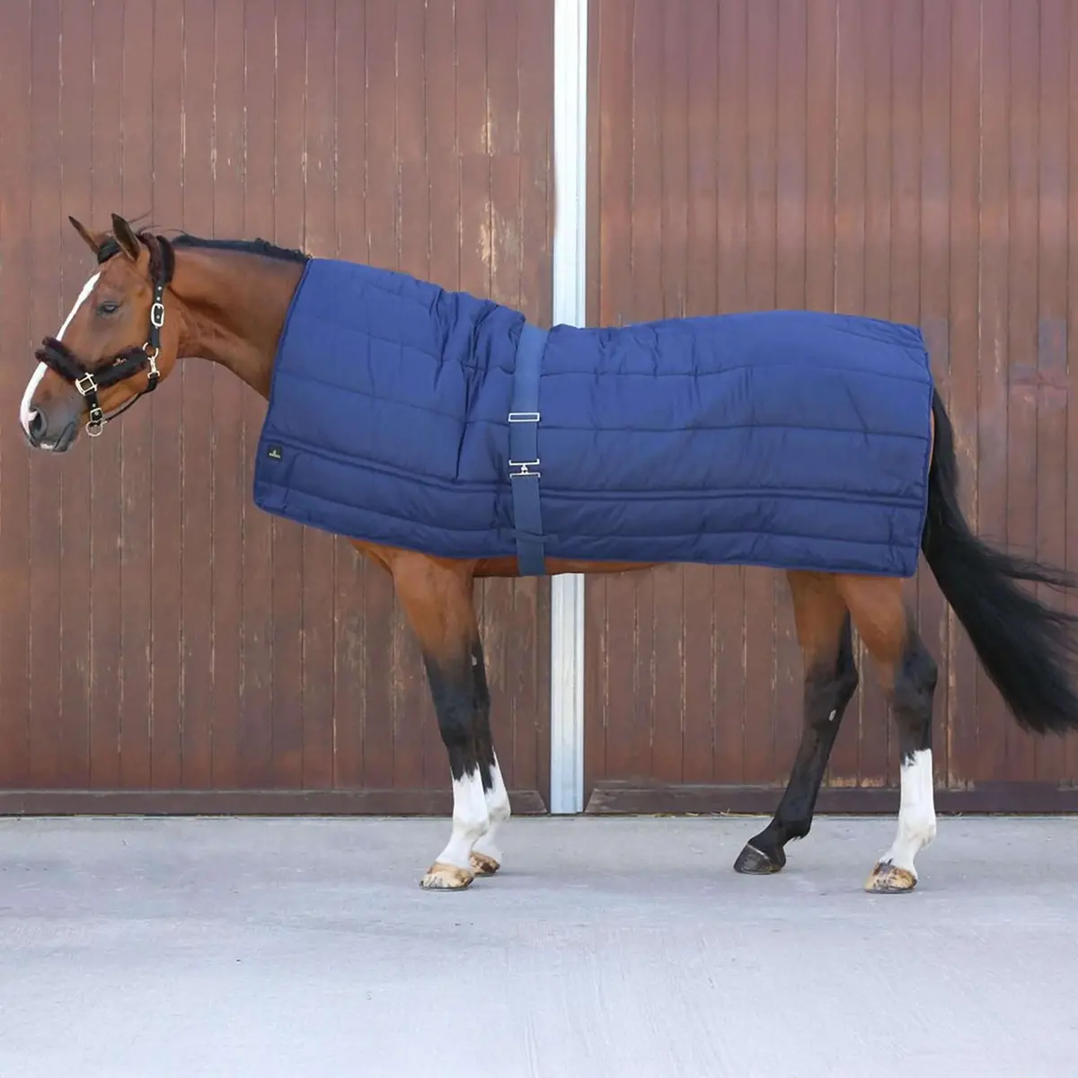 Kentucky Deken Horse Duvet 300G Navy 1