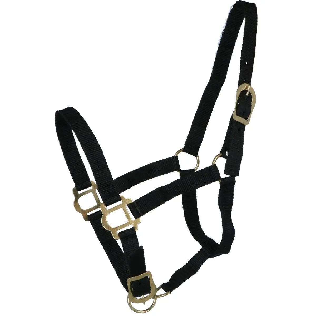 Riding World Halster Zwart 1