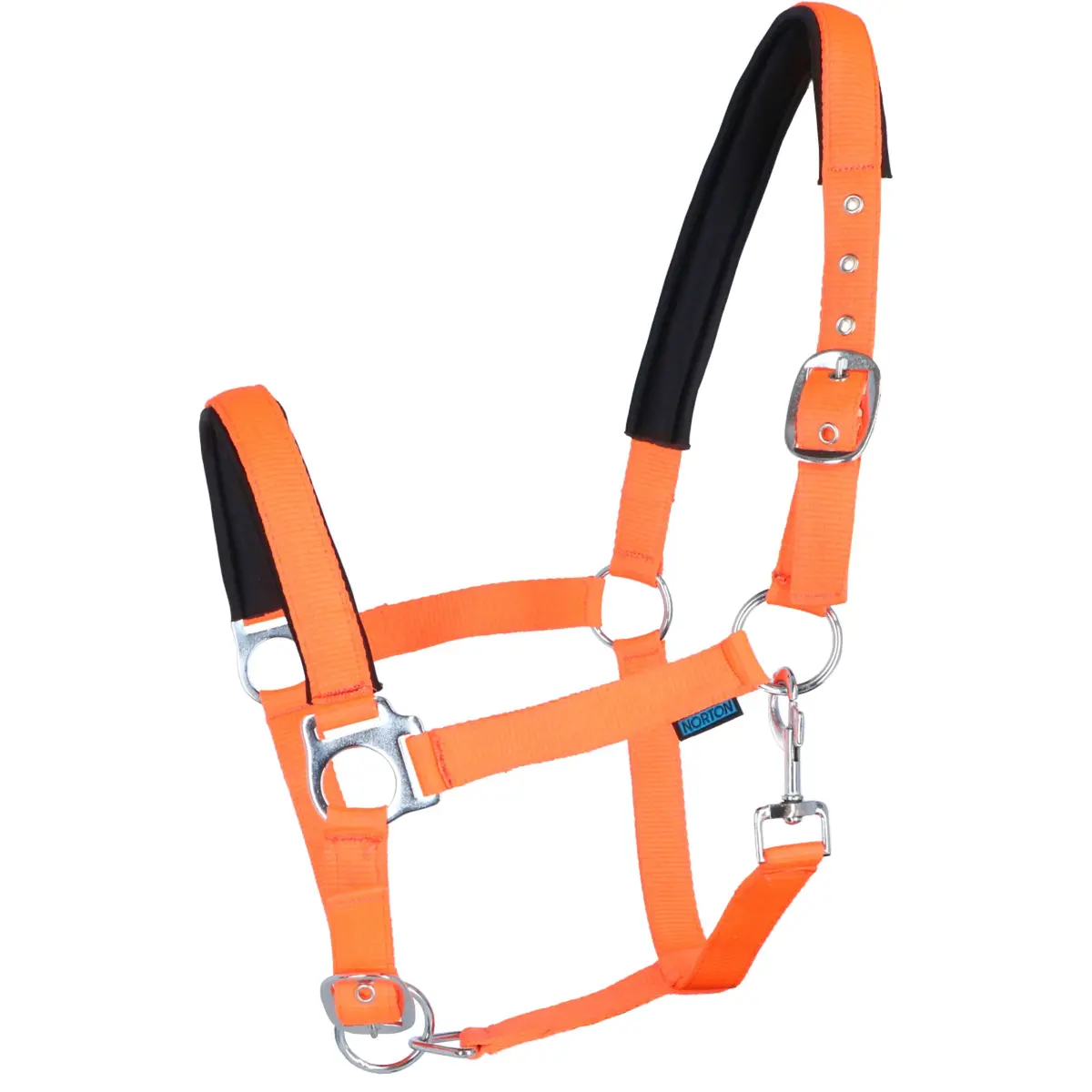 Norton Halster Fluo Onderlegd Oranje 1