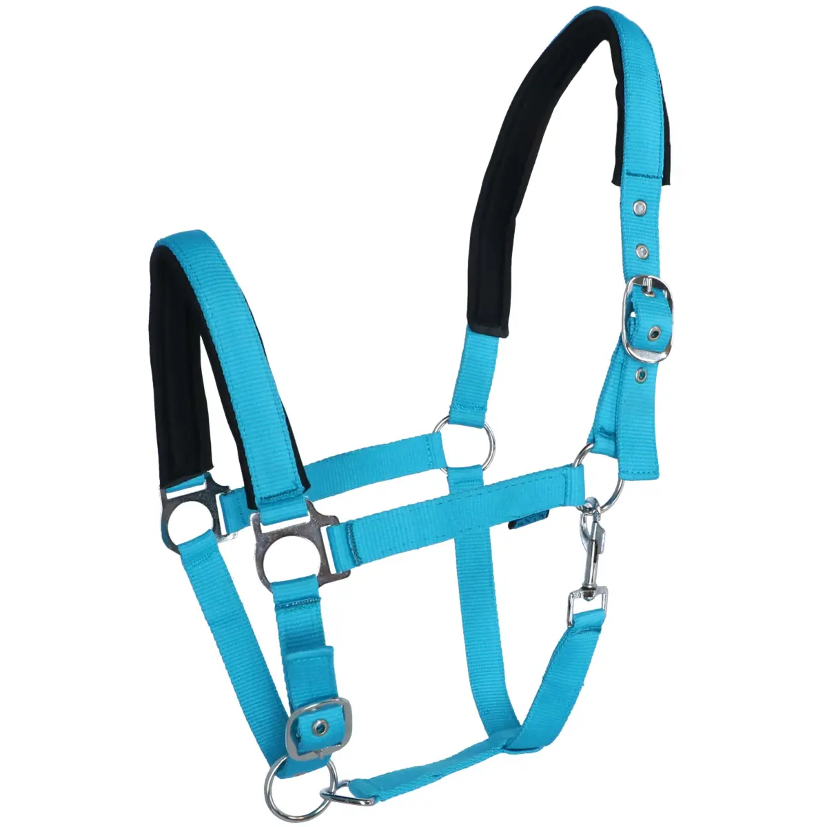 Norton Halster Fluo Onderlegd Blauw 1