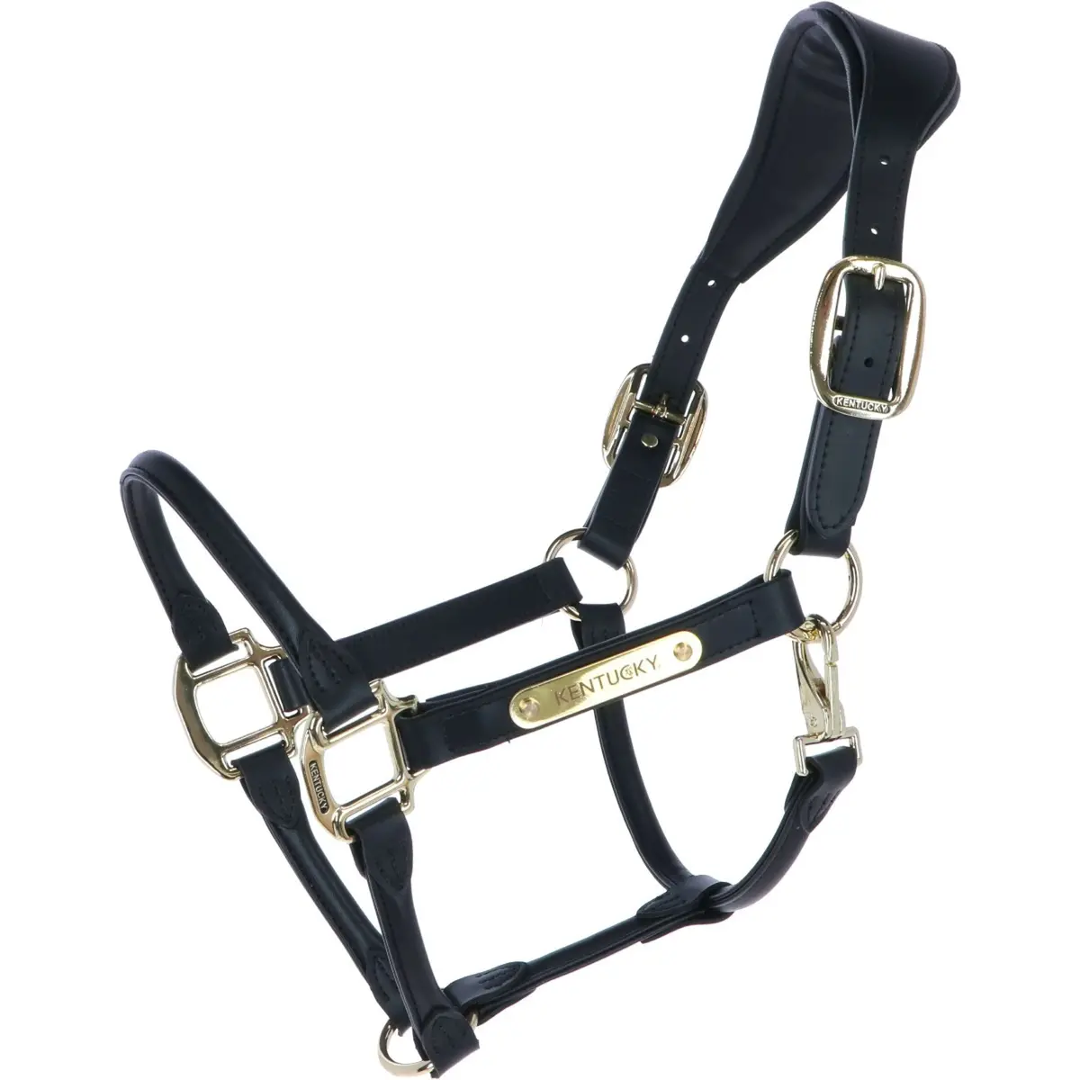 Kentucky Leder Halster Zwart 1