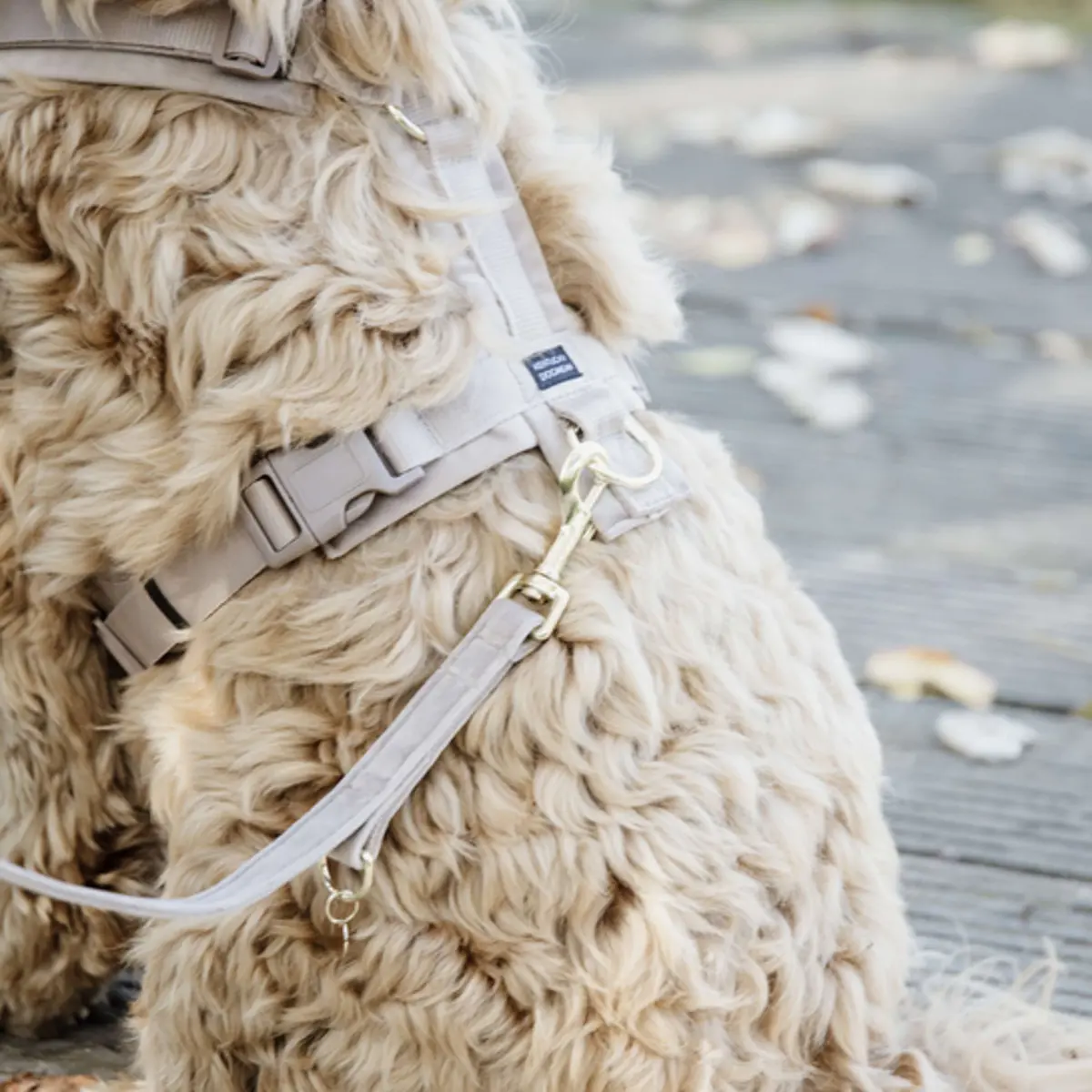 Kentucky Hondenriem Velvet Beige 1