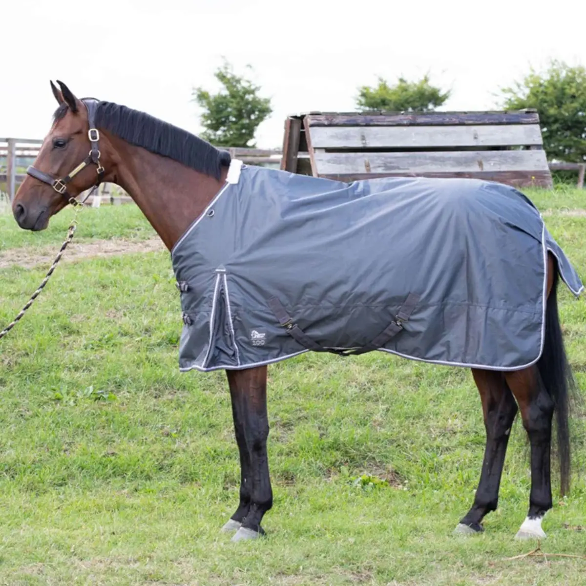 Harry's Horse Outdoordeken Thor 100G Ebony 1