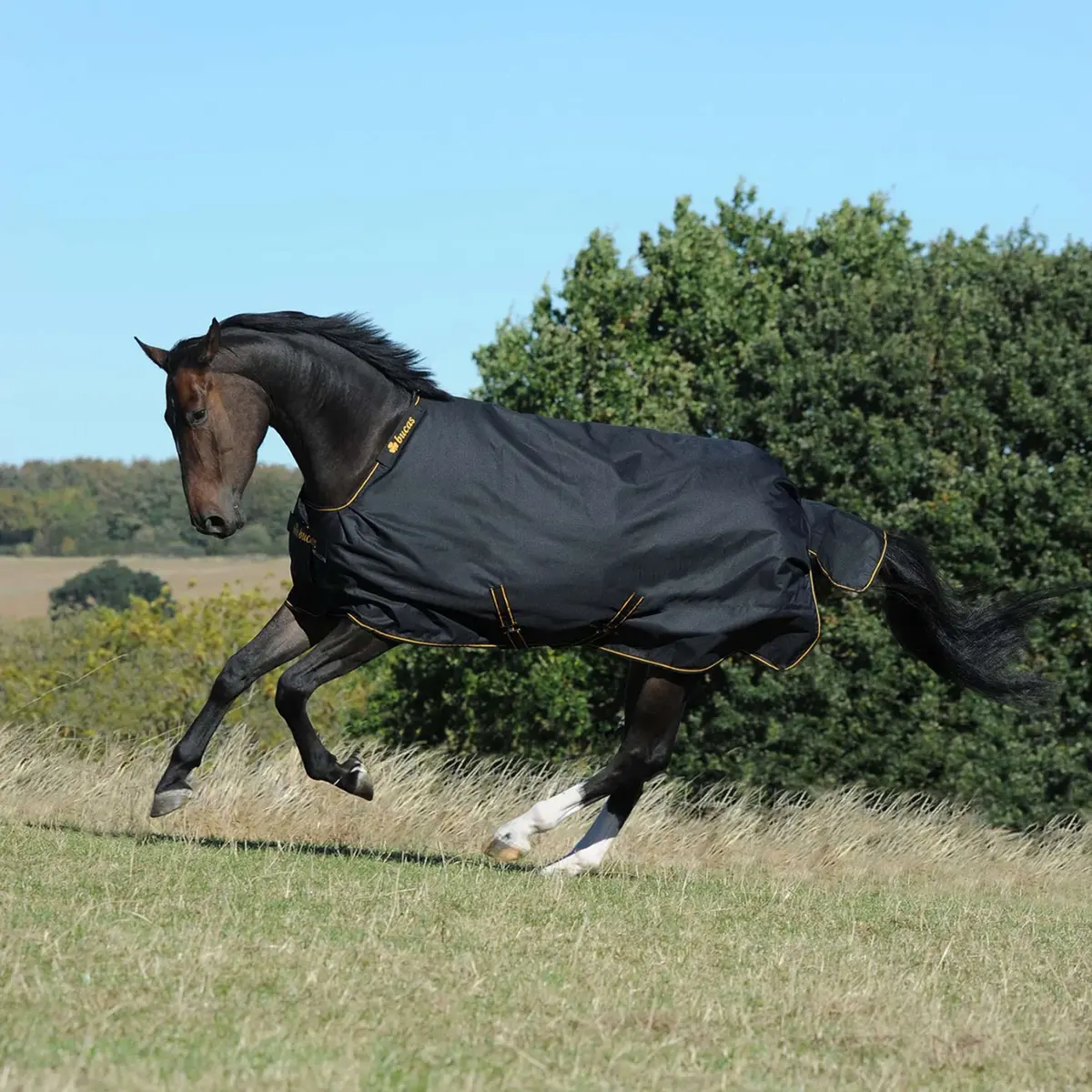 Bucas Irish Turnout Big Neck 50G Black/Gold 1
