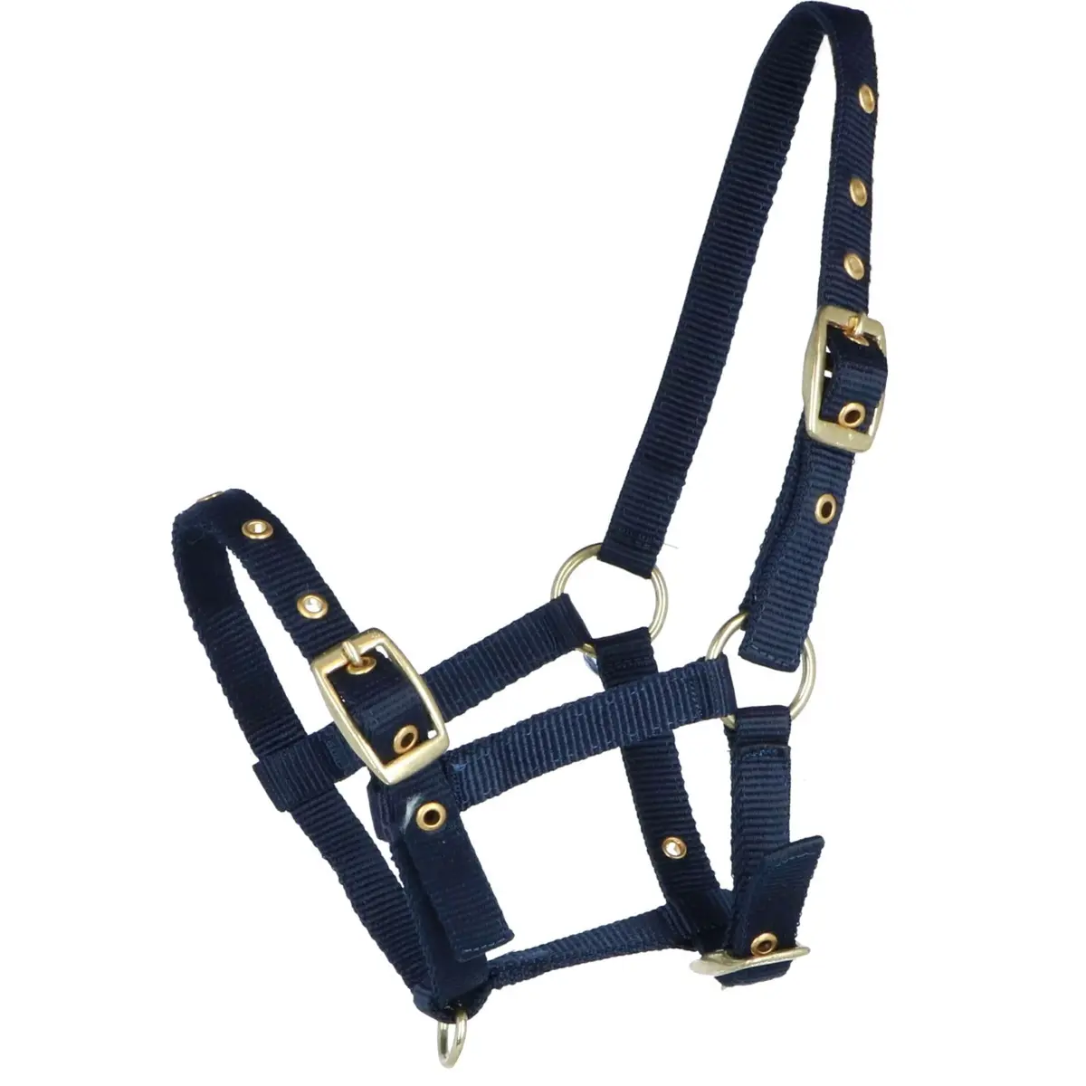 Hb Veulenhalster Nylon Blauw 1
