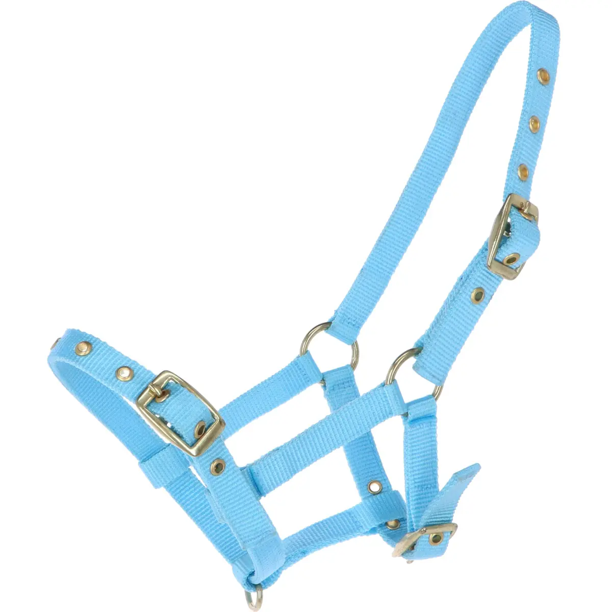 Hb Veulenhalster Nylon Lichtblauw 1