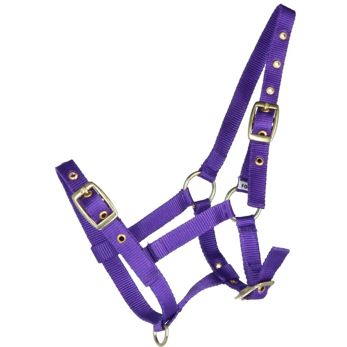 Hb Veulenhalster Nylon Paars 1