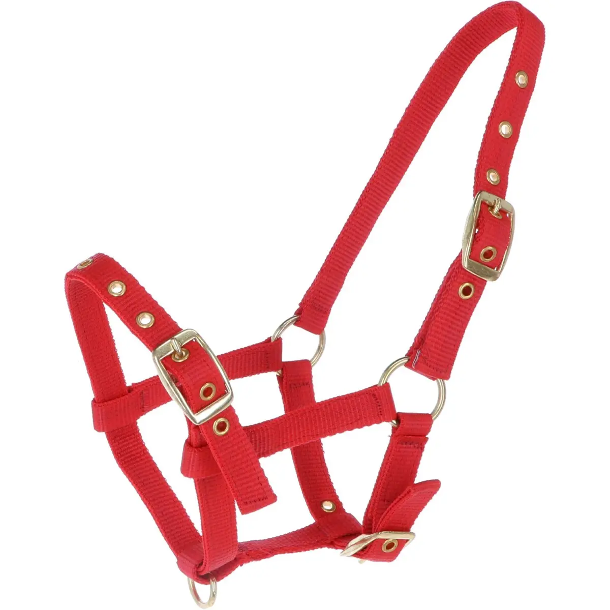Hb Veulenhalster Nylon Rood 1
