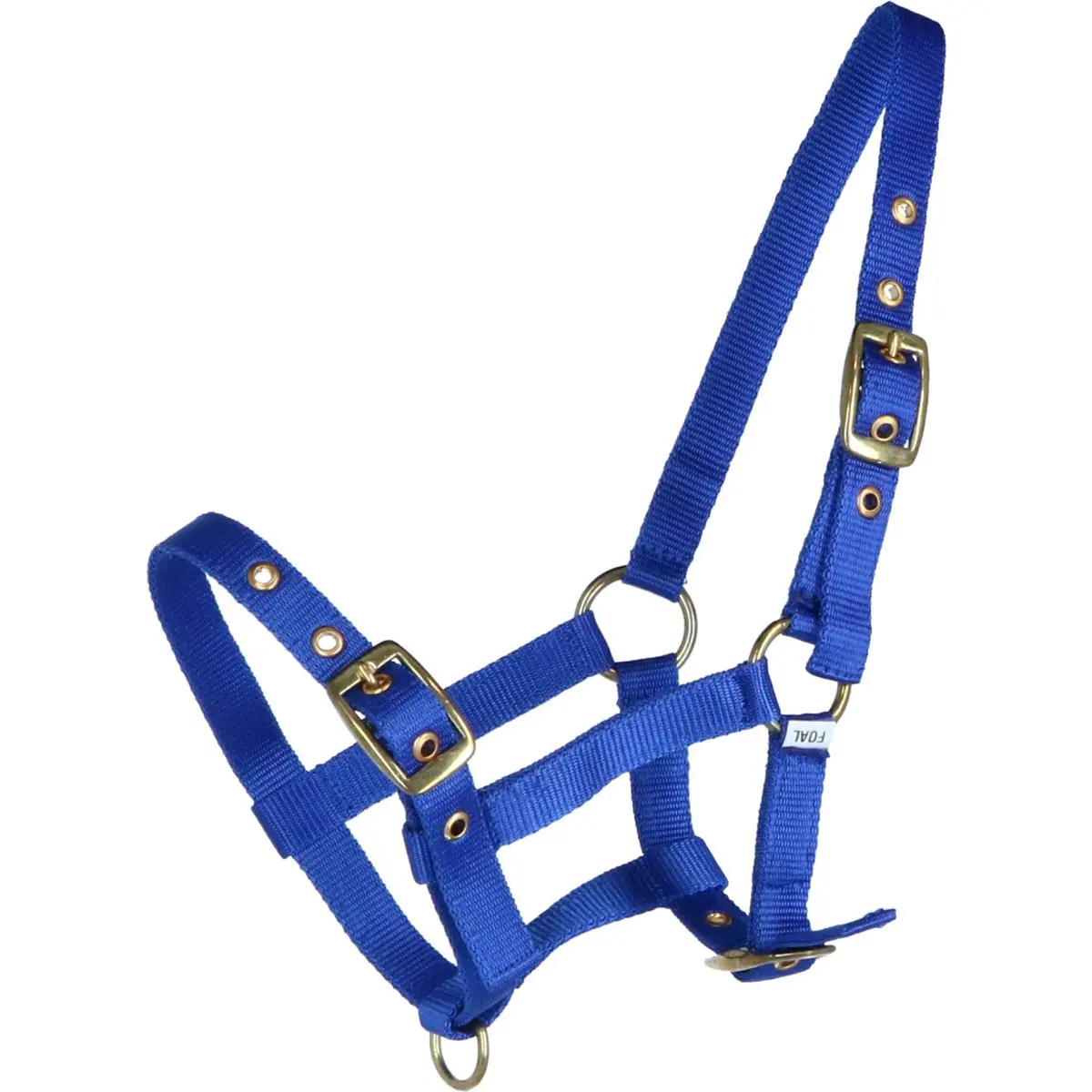 Hb Veulenhalster Nylon Royal Blue 1