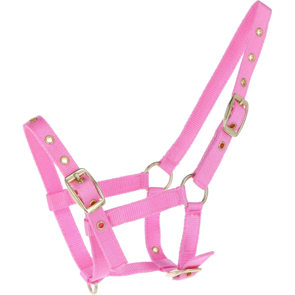 Hb Veulenhalster Nylon Roze 1