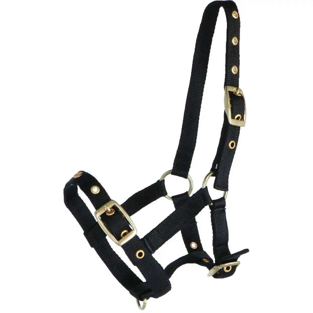 Hb Veulenhalster Nylon Zwart 1