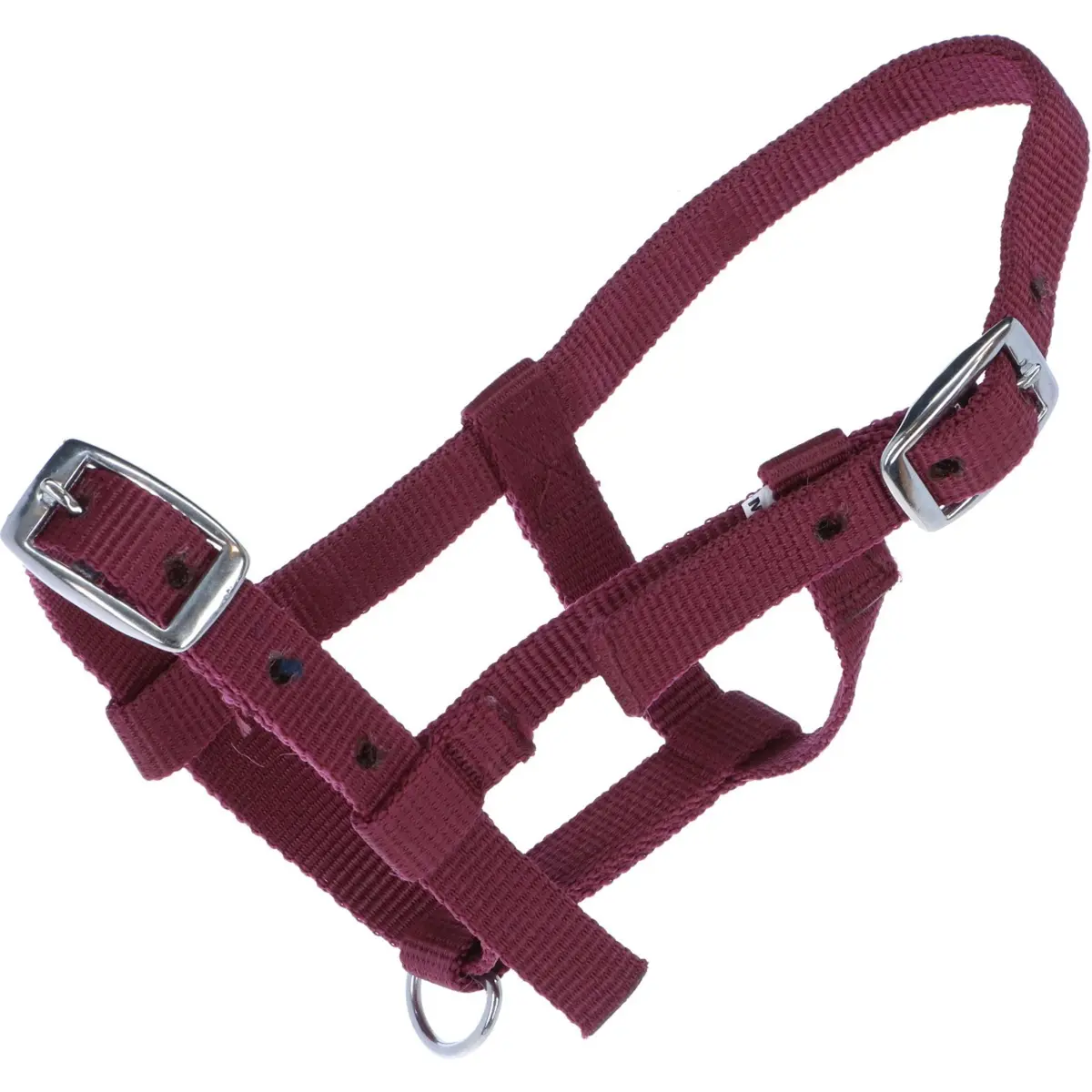 Hb Halster Nylon Bordeaux 1