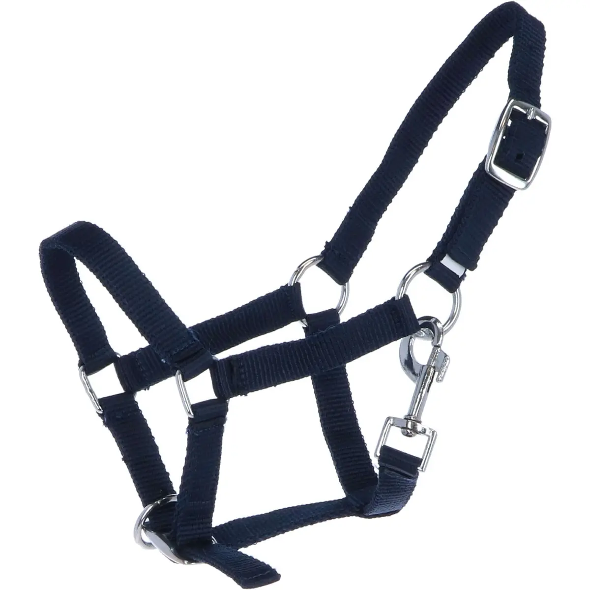 Hb Veulenhalster Astrid Navy 1