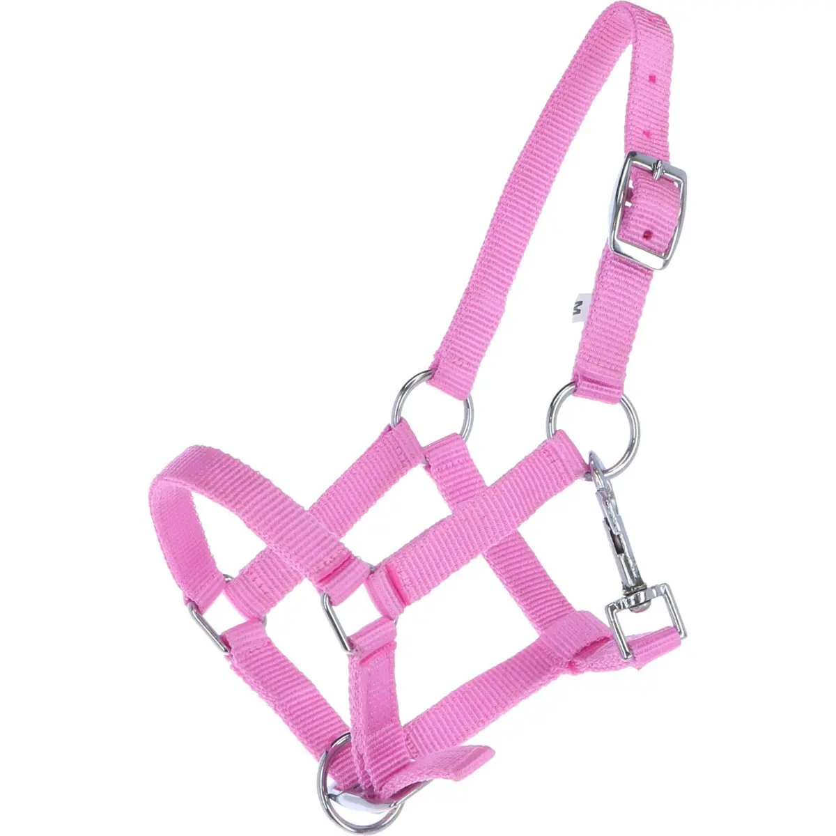 Hb Veulenhalster Astrid Roze 1