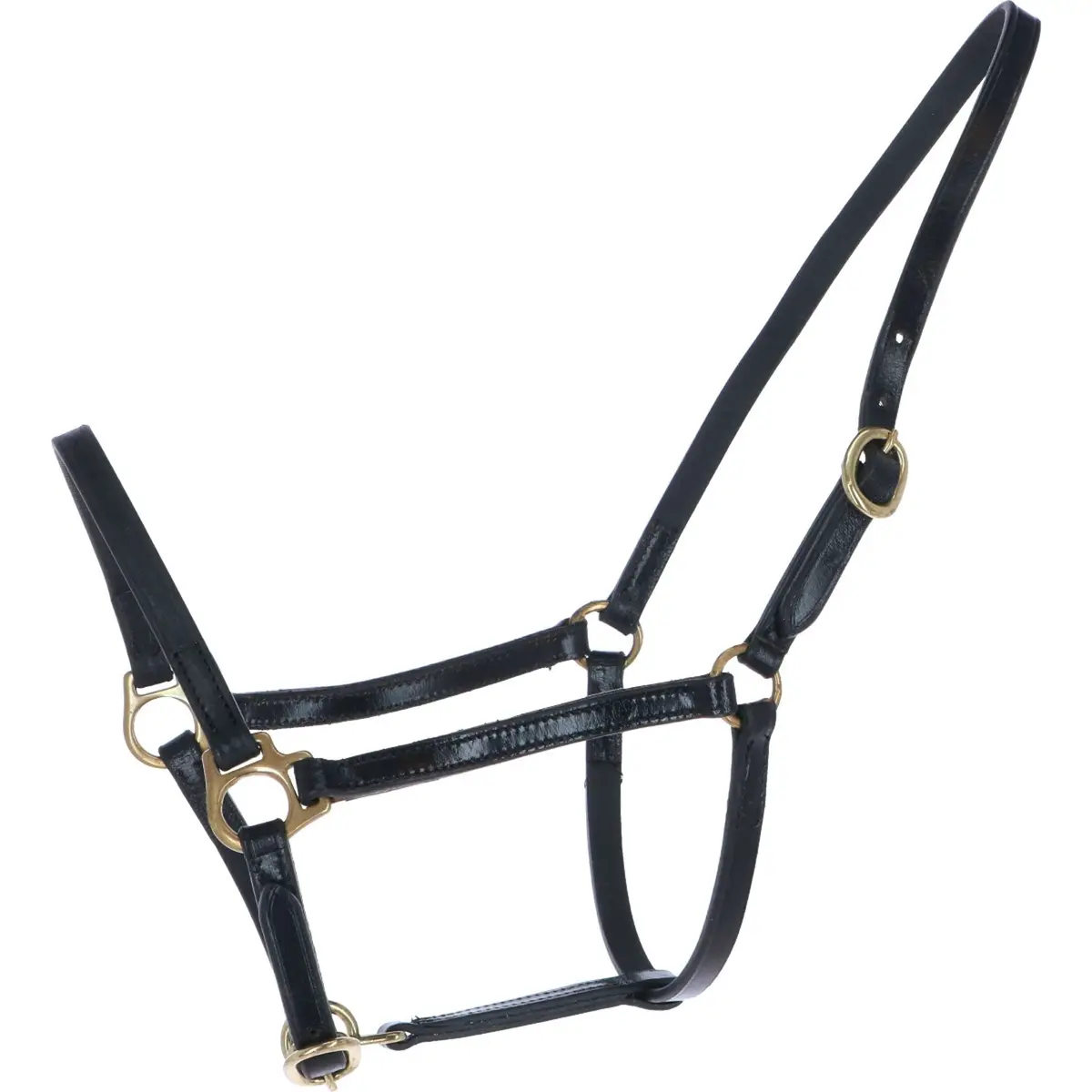 Hb Halster Big Foal Leer Zwart 1