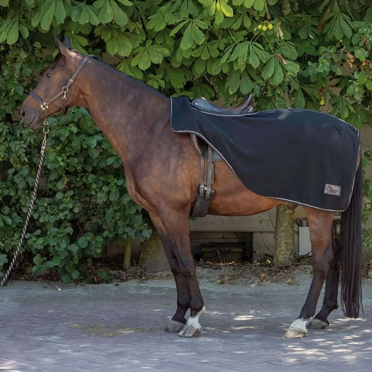 Harry's Horse Uitrijdeken Fleece Zwart 1
