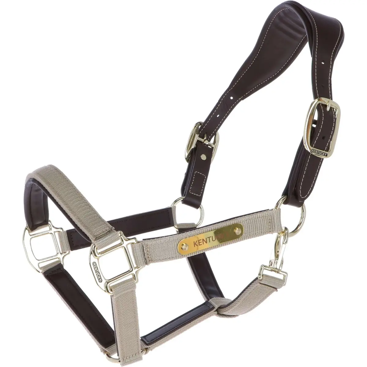 Kentucky Halster Anatomic Nylon Beige 1