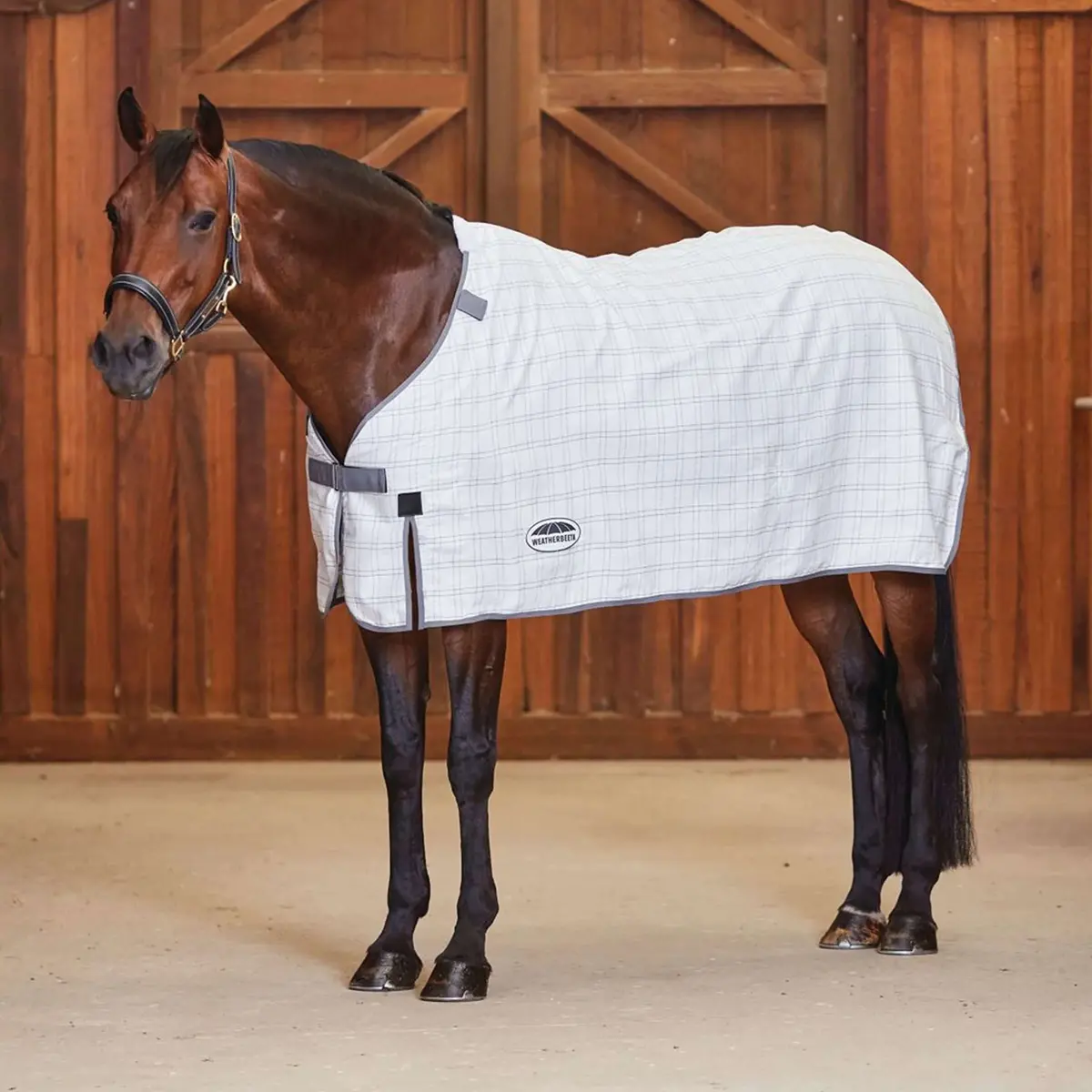 Weatherbeeta Comfitec Cotton Sheet Liner Wit/Grijs 1