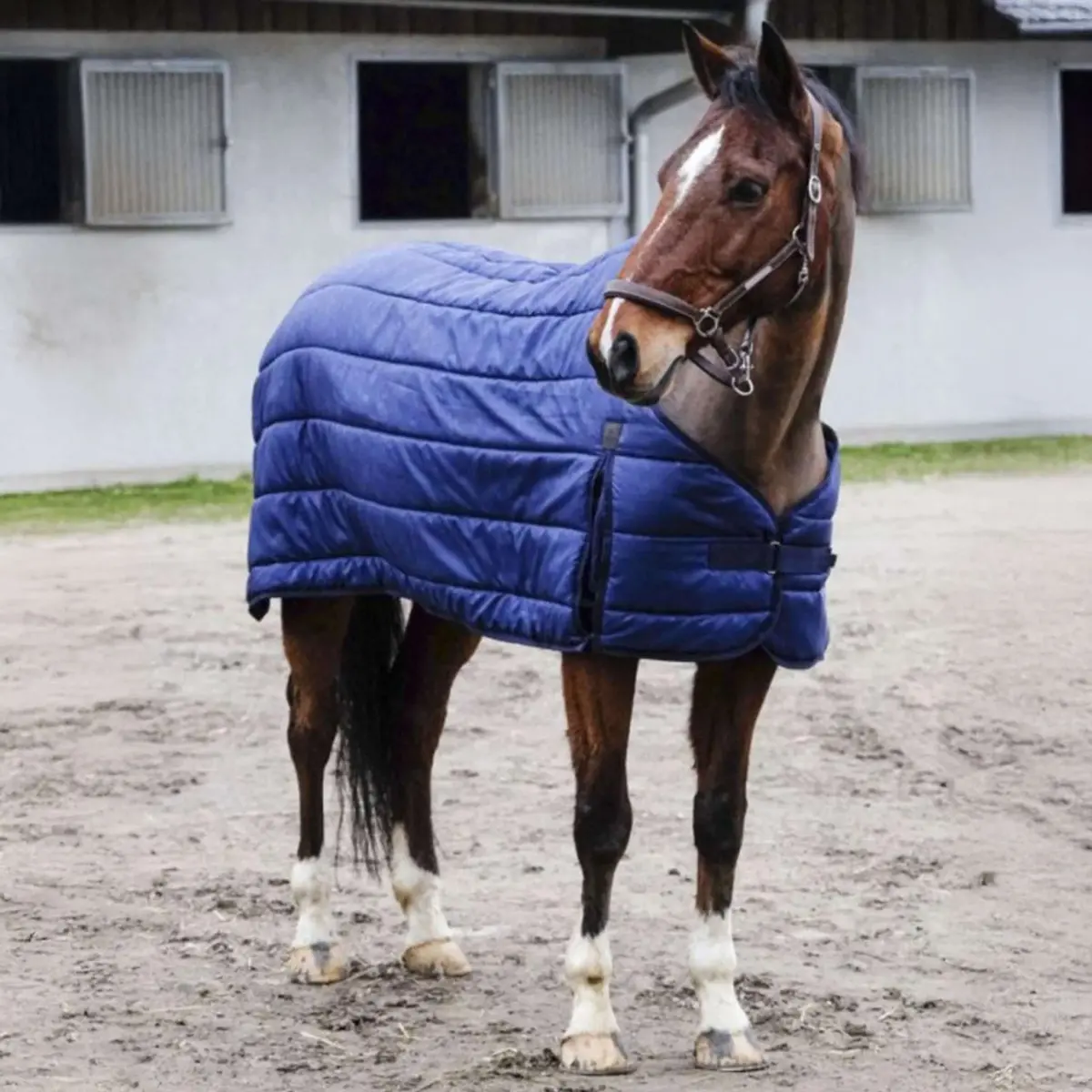 Equithème Onderdeken Classic 50G Navy 1