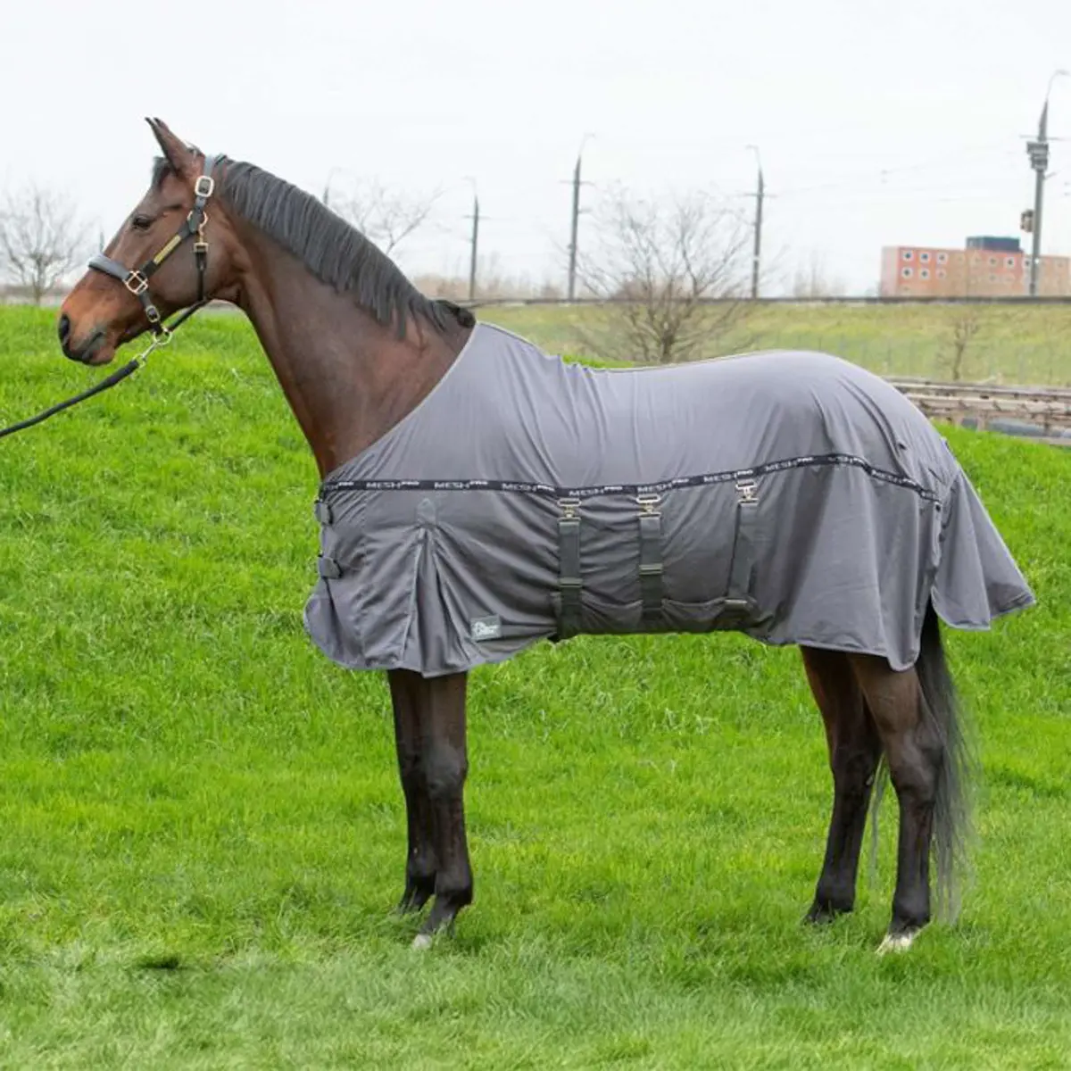 Harry's Horse Vliegendeken Mesh Pro Belly Grijs 1