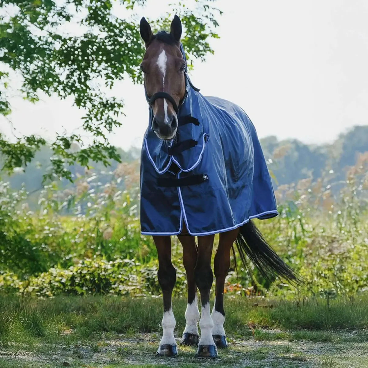 Riding World Regendeken Combo 0G Navy 1