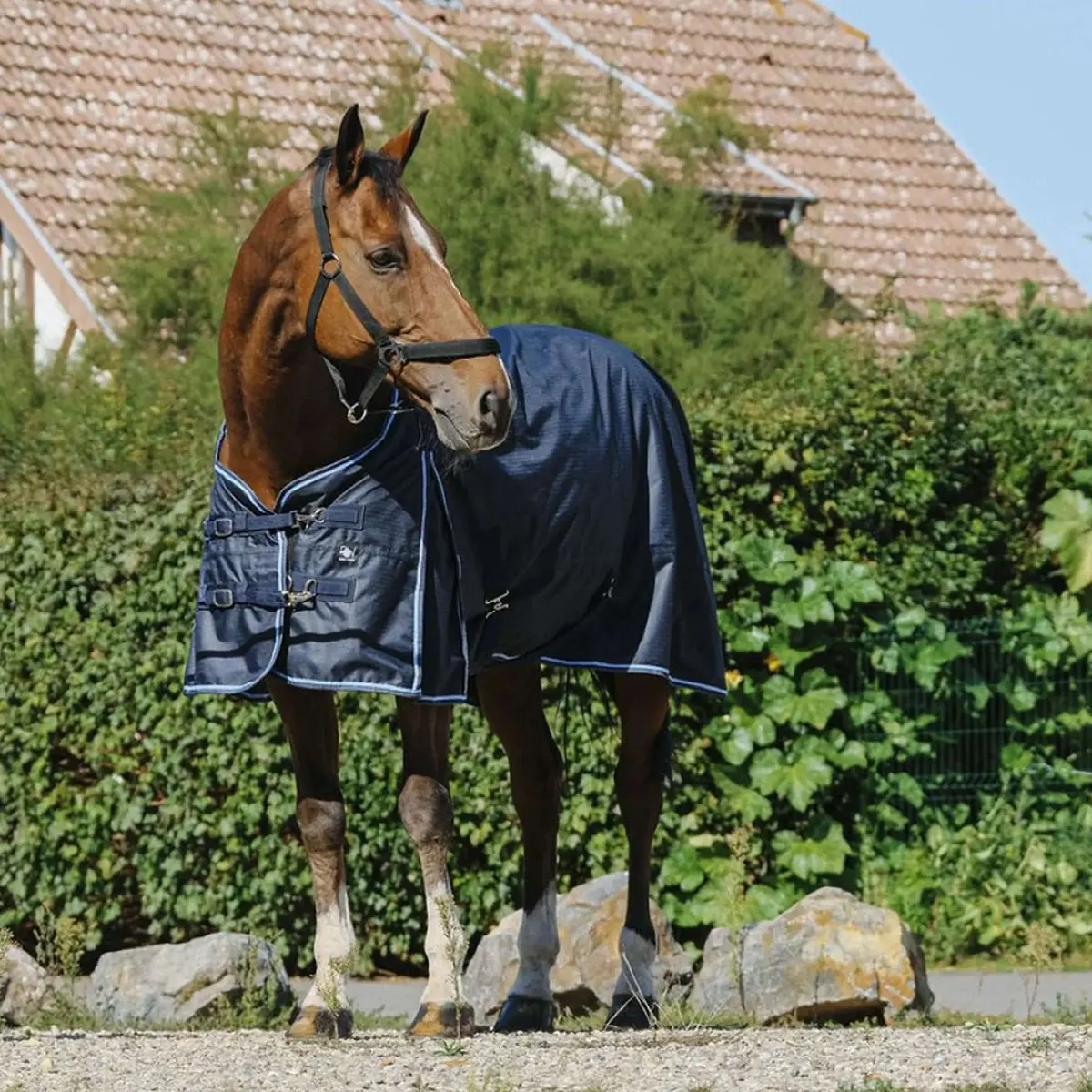 Riding World Outdoordeken Eco Easyclip 600D 0G Navy 1