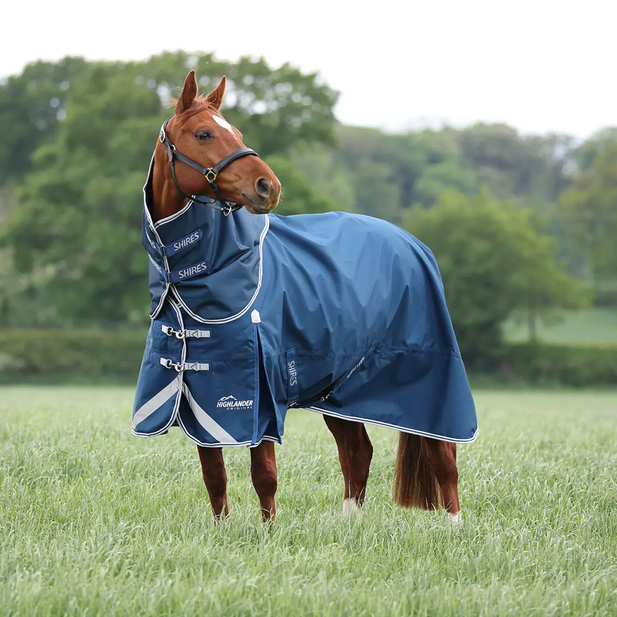 Shires Regendeken Original 50 Turnout Met Hals Oceaan 1
