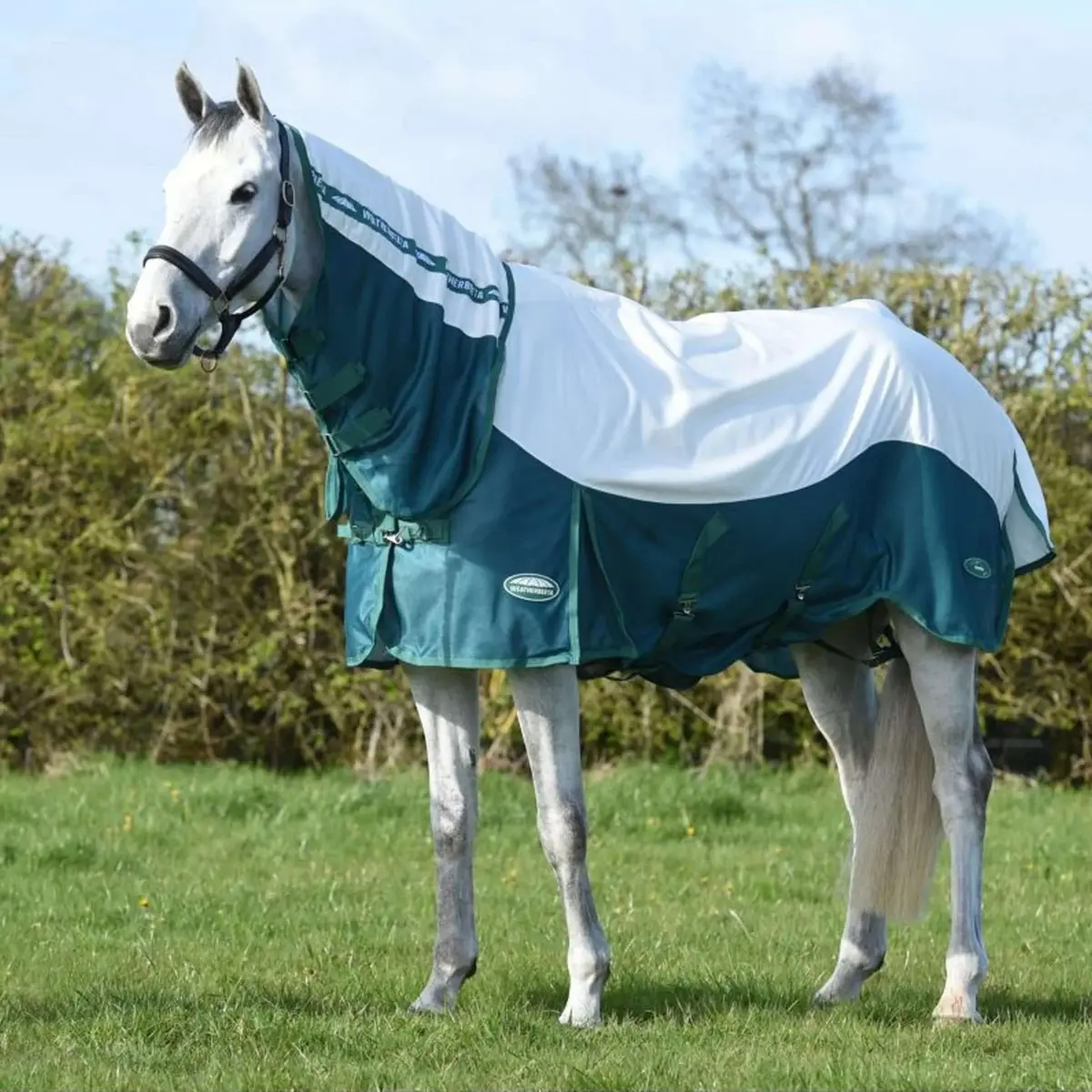 Weatherbeeta Vliegendeken Comfitec Green-Tec Airflow Mesh Combo Neck White/Dragonfly Blue 1