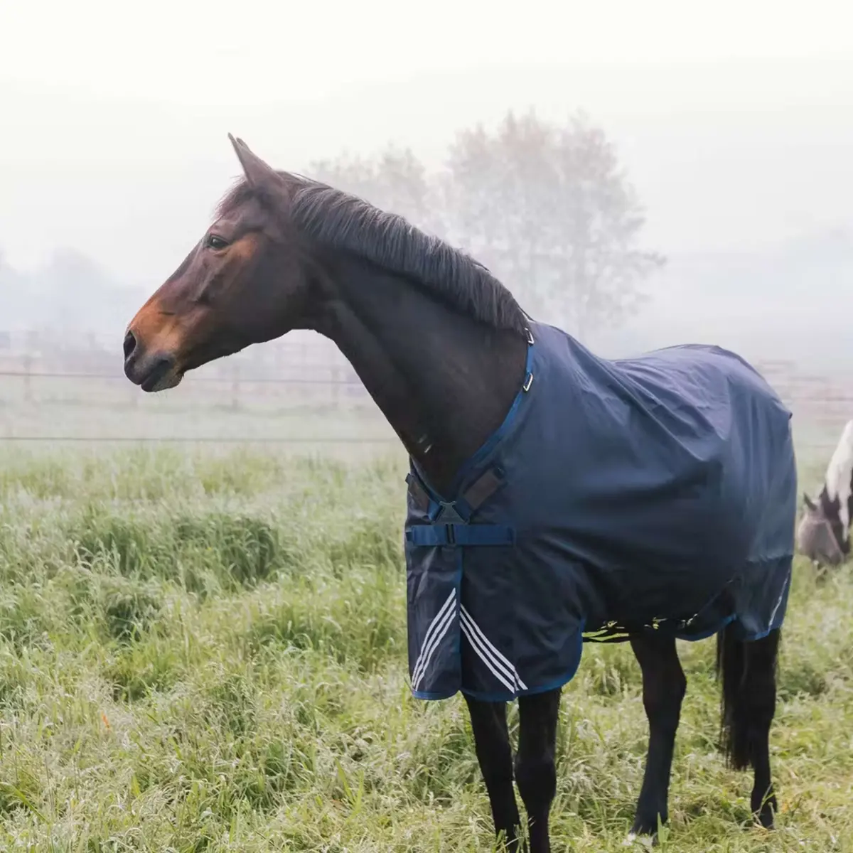 Kentucky Turnout Rug All Weather Comfort Waterproof 0G  Navy 1