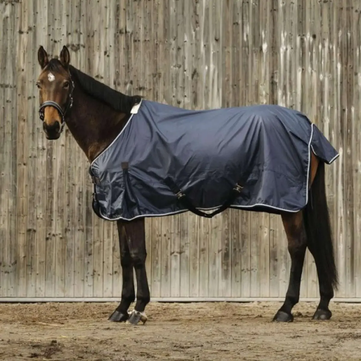 Equithème Regendeken Rain Navy 1
