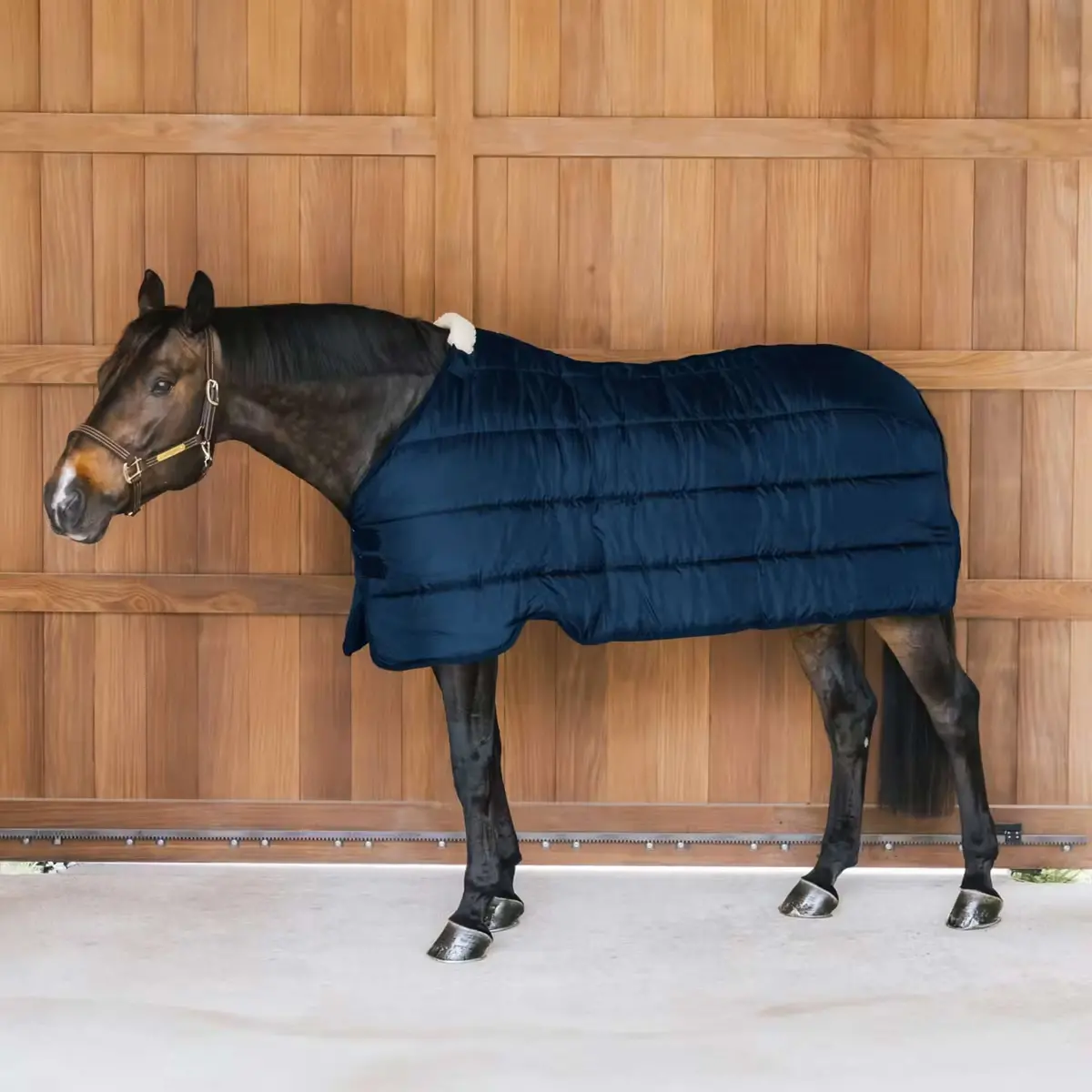 Kentucky Turnout Rug Comfort Liner 200G Navy 1