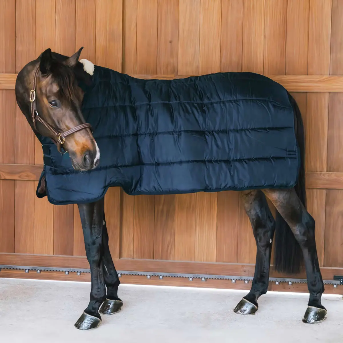 Kentucky Turnout Rug Comfort Liner Pro 400G Navy 1