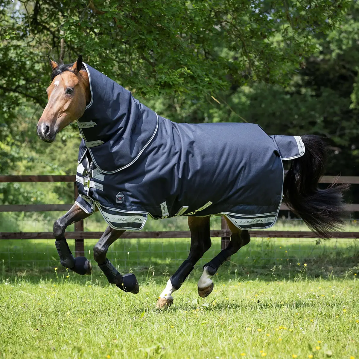 Lemieux Deken Arika Storm-Tek Turnout 200G Navy 1