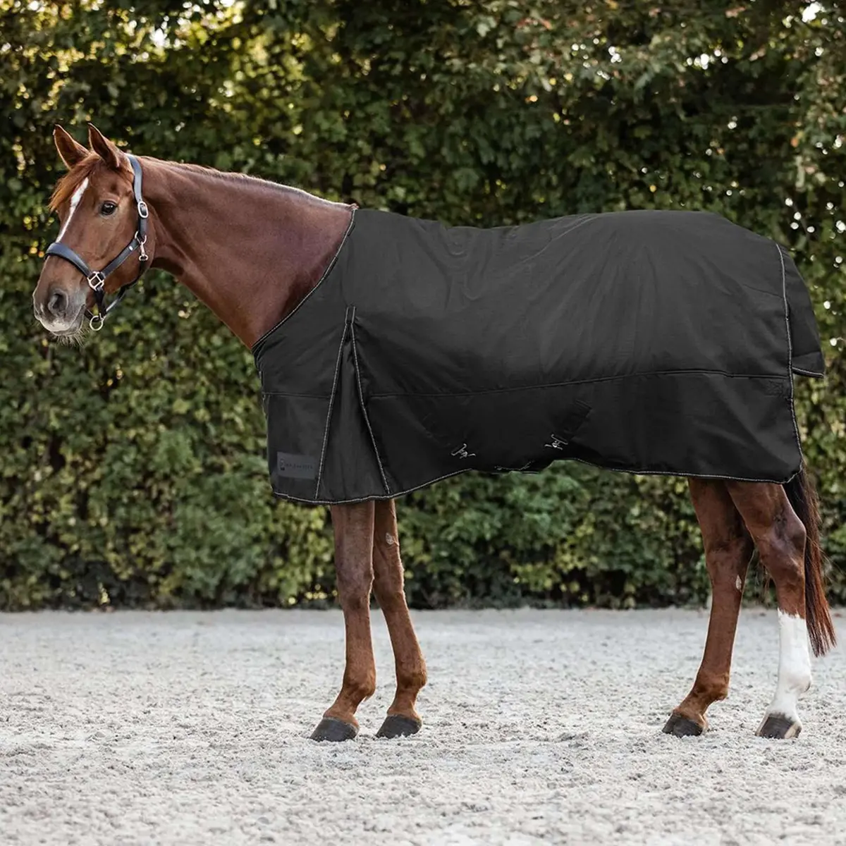 Waldhausen Outdoordeken Nordic Fleece 0G Zwart 1