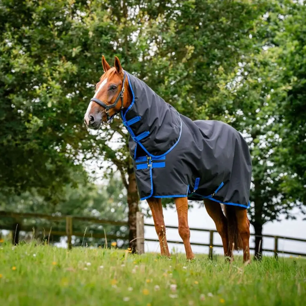 Amigo Ripstop 900D Plus 100G Zwart/Blauw 1
