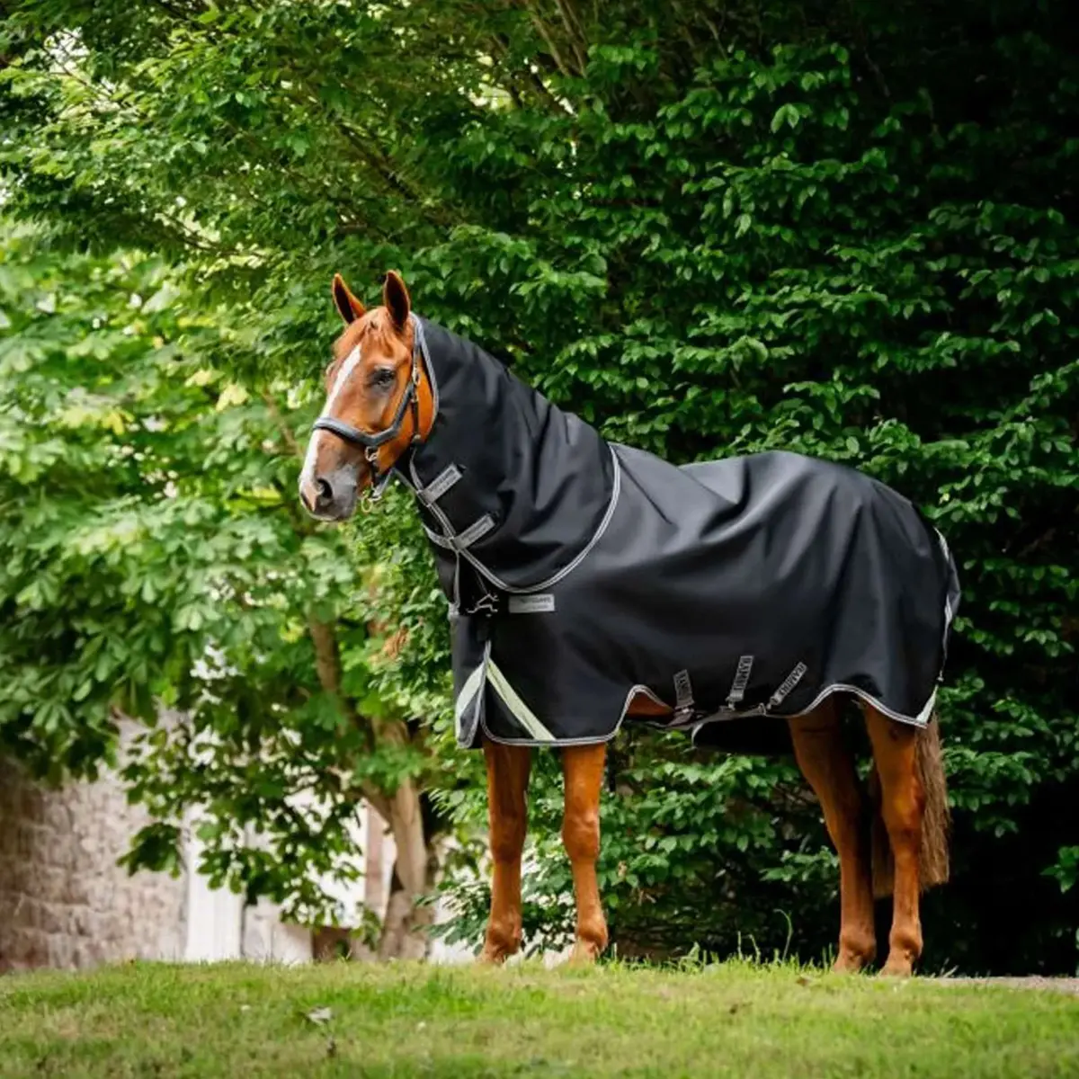 Rambo Supreme Turnout Lite 50G Black/Thunderstorm Grey 1