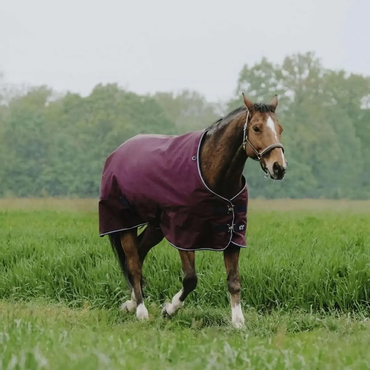 Equithème Outdoordeken Tyrex 1200D 150G Standard Burgundy 1