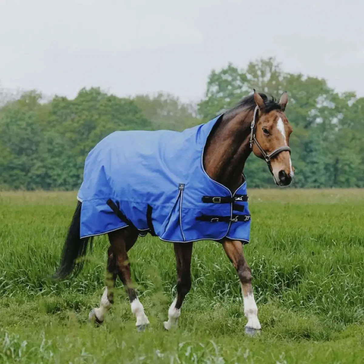 Equithème Outdoordeken Tyrex 1200D 150G Aisance High Neck Royal Blue 1