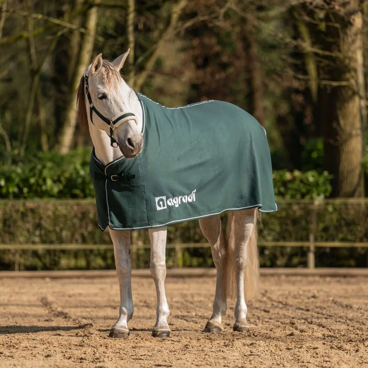 Agradi Horse Fleecedeken Economic Fir Green 1