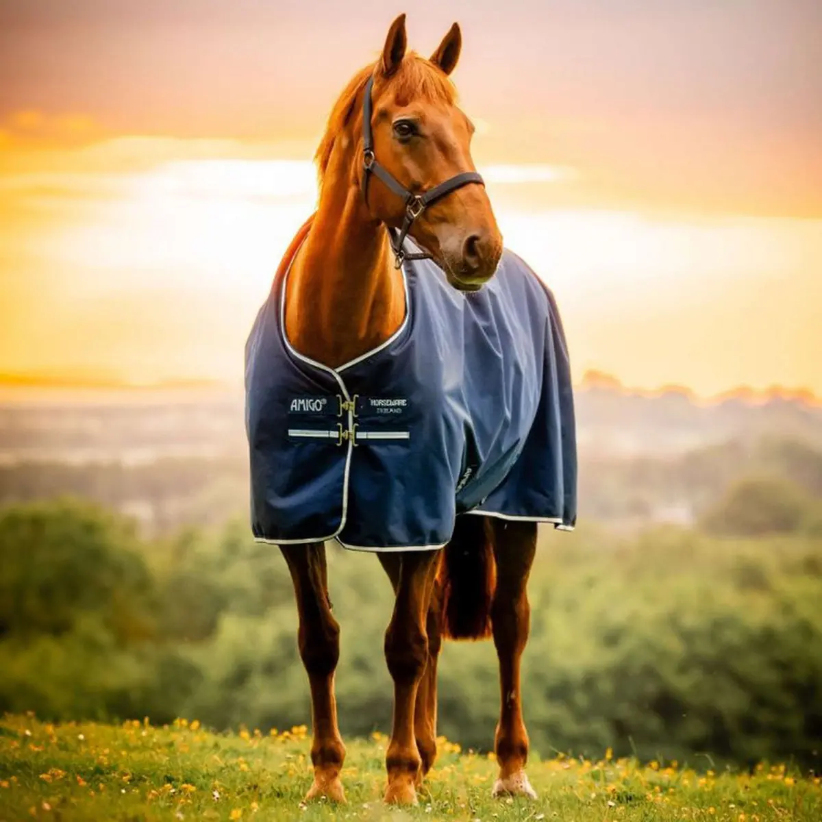 Amigo Ripstop 900D 50G Fleece Lined Witney Navy 1