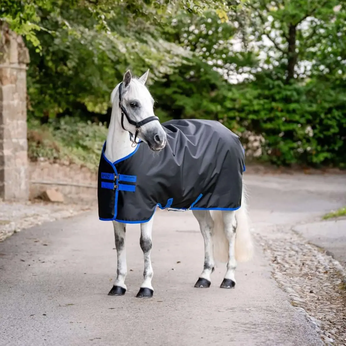 Amigo Ripstop 900D Pony 0G Zwart/Classic Blue 1